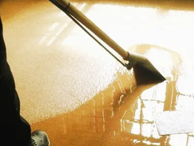 Rinomia Water Damage Picture 1