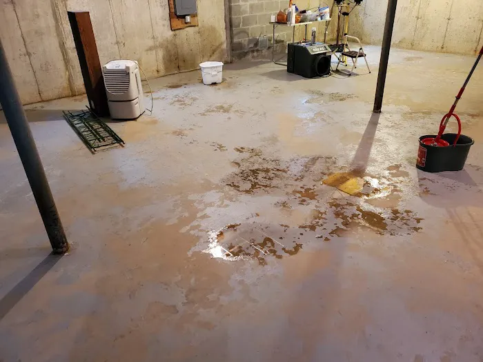 Classic Restoration Picture 6