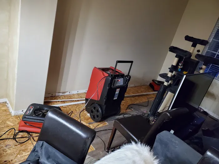 Classic Restoration Picture 2