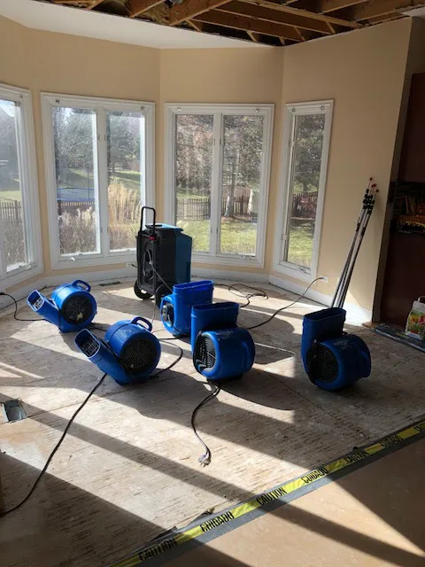 ProDry Restoration Inc. Picture 5