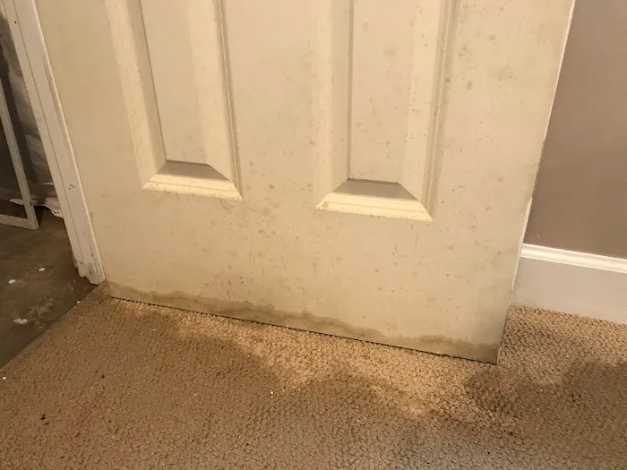 ProDry Restoration Inc. Picture 6