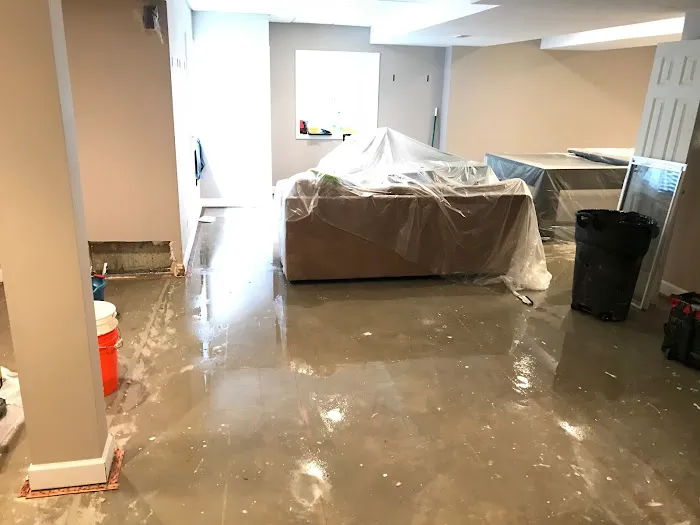 ProDry Restoration Inc. Picture 3