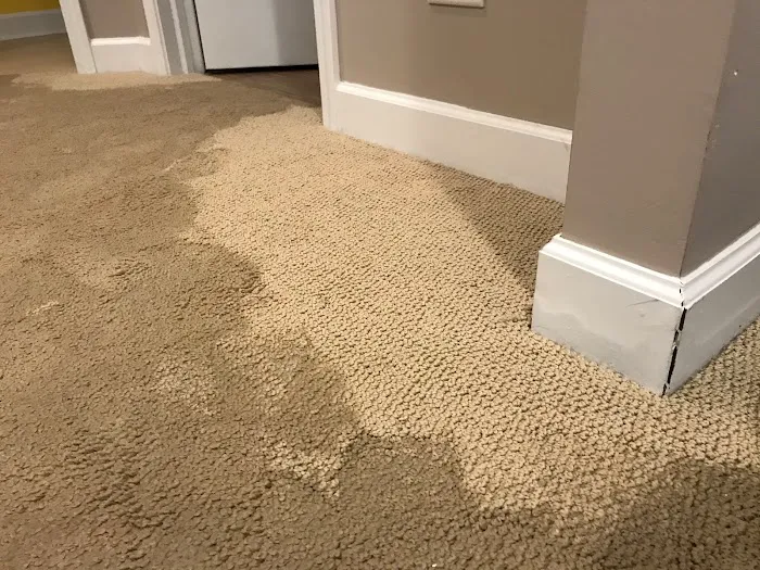 ProDry Restoration Inc. Picture 1