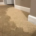 ProDry Restoration Inc.