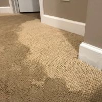 ProDry Restoration Inc. ico