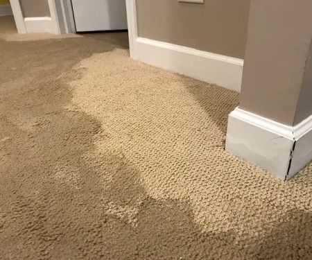 ProDry Restoration Inc.