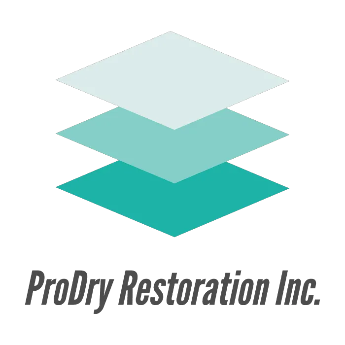 ProDry Restoration Inc. Picture 2