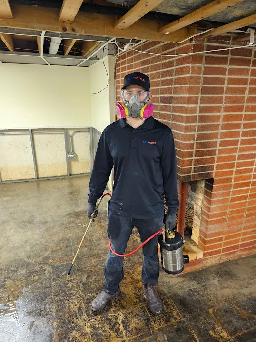 Hydro Shield Restoration Picture 10