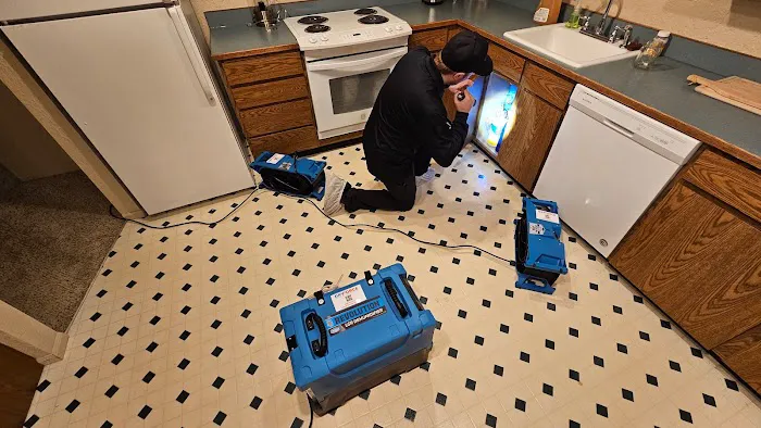 Hydro Shield Restoration Picture 5