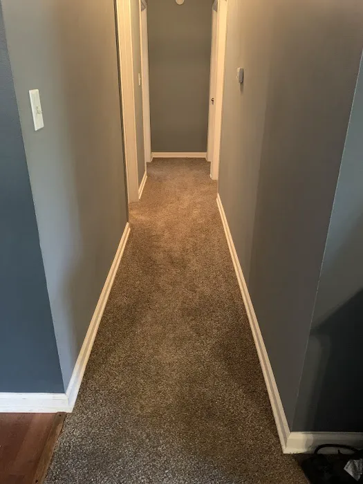 Stanley Steemer Picture 7