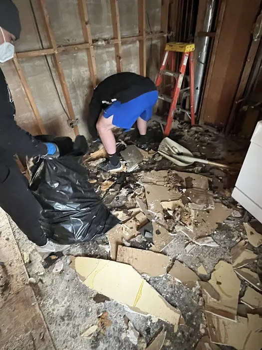 Premier Restoration Services Picture 3