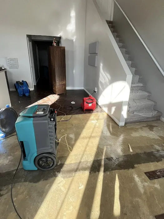 Premier Restoration Services Picture 9