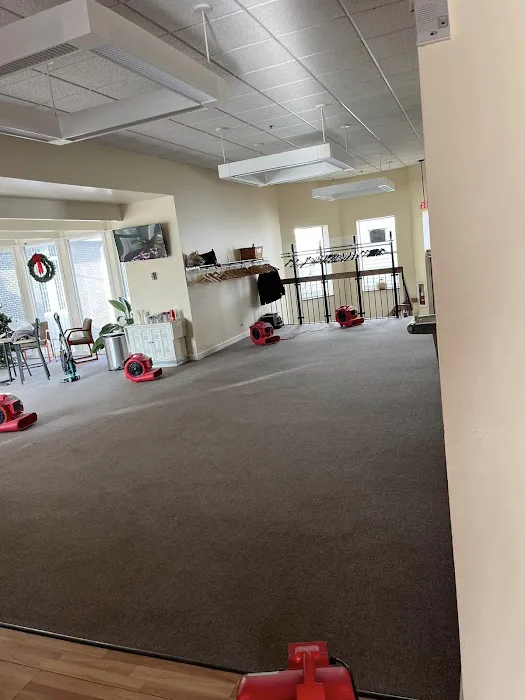 Premier Restoration Services Picture 6