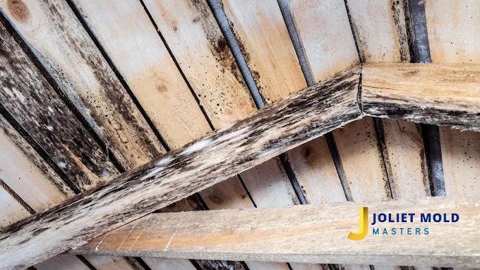 Joliet Mold Masters Picture 7