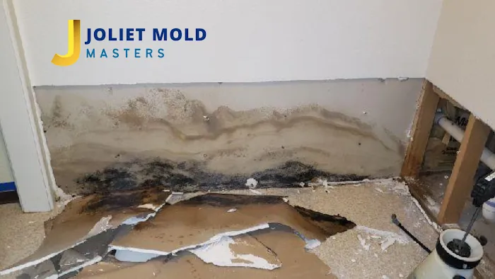 Joliet Mold Masters Picture 5