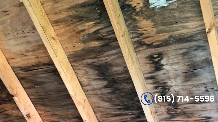 Joliet Mold Masters Picture 8