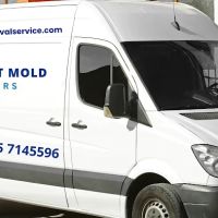 Joliet Mold Masters ico