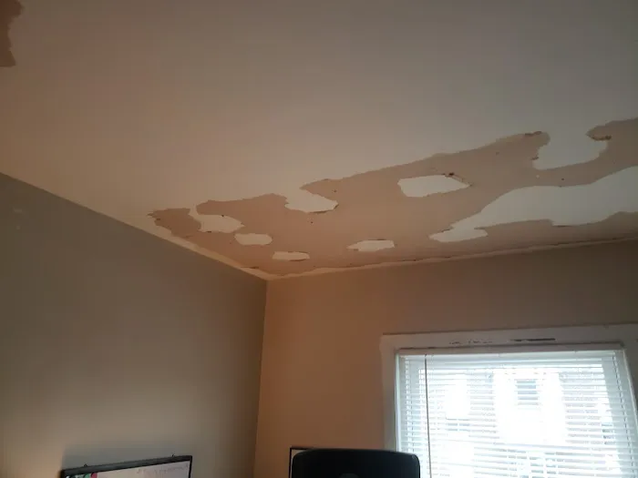 A1 Pro Painters & Renovating LLC Picture 3