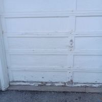 A1 Pro Painters & Renovating LLC ico