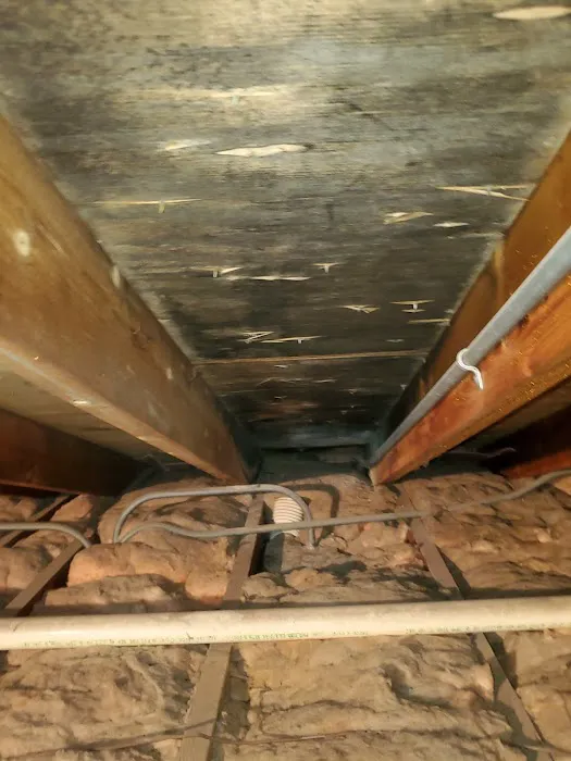 OMG Sanitized, Inc. Picture 10