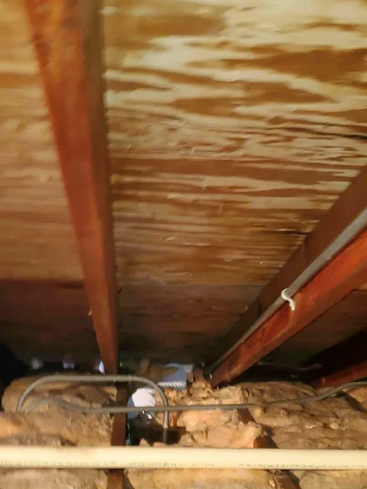 OMG Sanitized, Inc. Picture 2