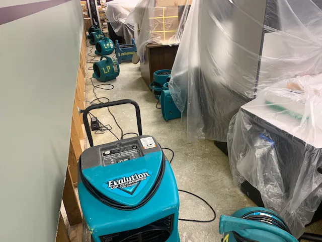 ServiceMaster Elite Picture 5