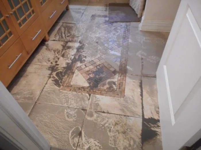 ServiceMaster ARG - Chicago Water Damage Services Picture 9