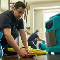 ServiceMaster ARG - Chicago Water Damage Services ico