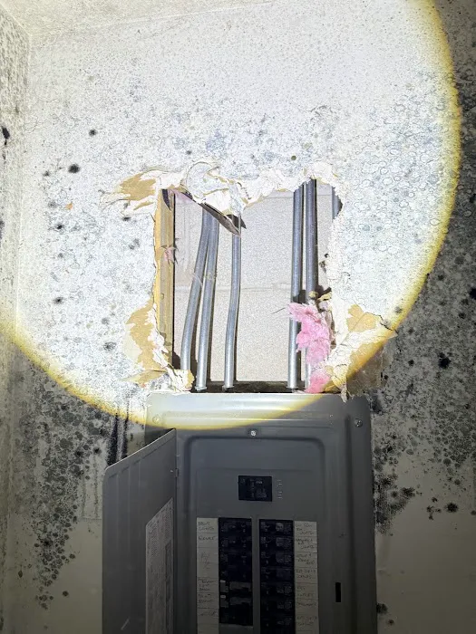 Healthy Homes USA Picture 3