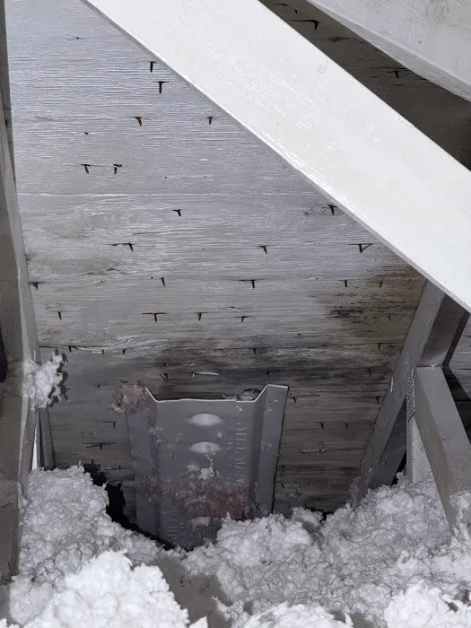 Healthy Homes USA Picture 4