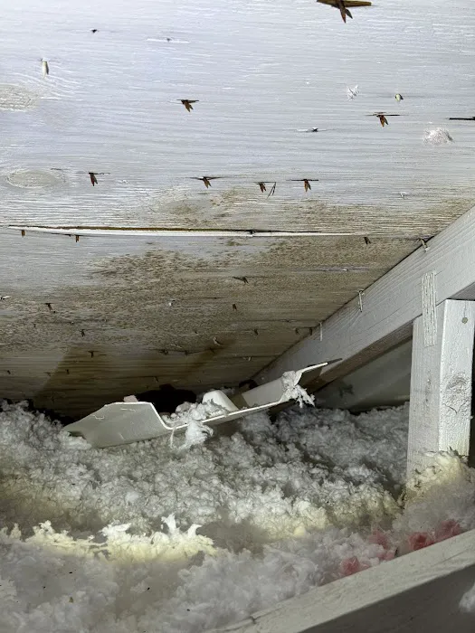 Healthy Homes USA Picture 2