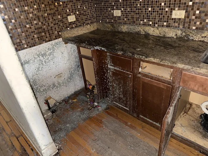 Healthy Homes USA Picture 6