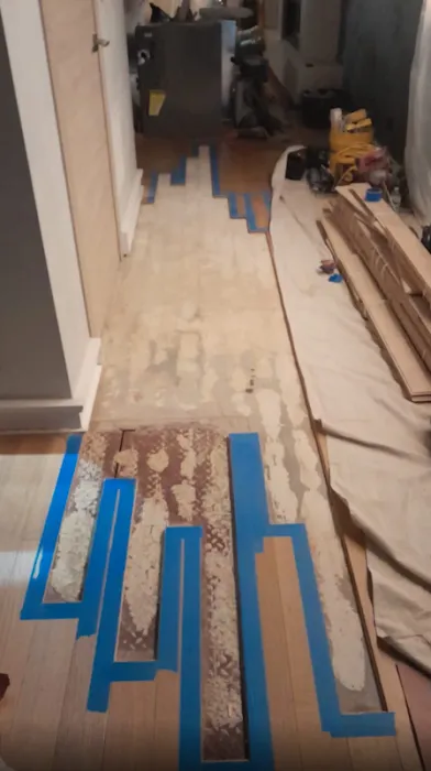 Safer Restoration Picture 6