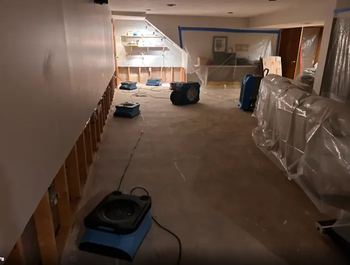 Safer Restoration Picture 1