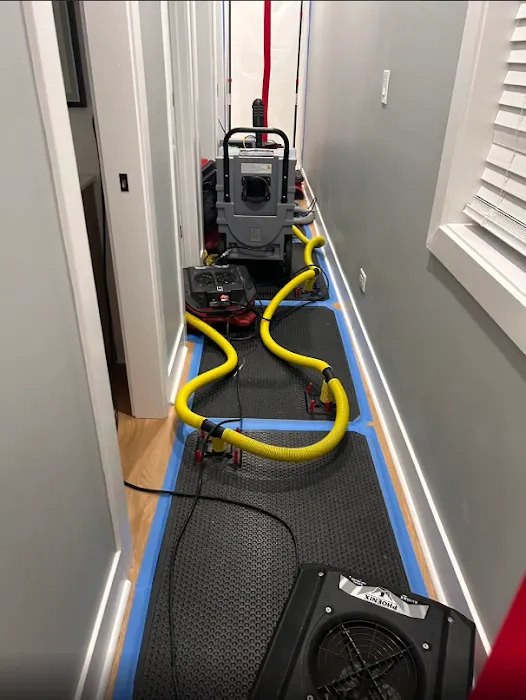 Safer Restoration Picture 2