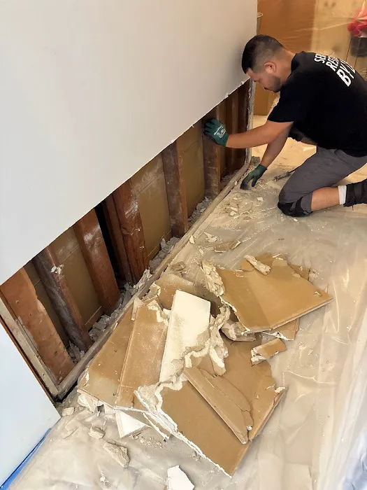 ServiceMaster Restoration by Zaba Picture 8