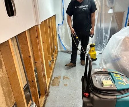 ServiceMaster Restoration by Zaba