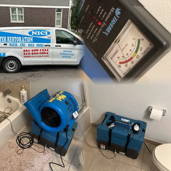 Nici Water Picture 10