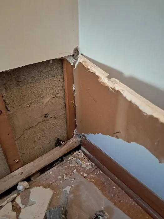 Scene Cleaners Picture 9