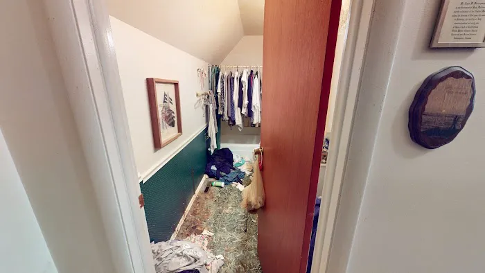 Scene Cleaners Picture 4