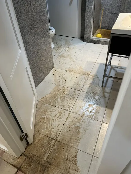 Scene Cleaners Picture 1