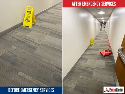 PuroClean of Carol Stream Picture 2