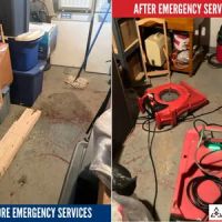 PuroClean of Carol Stream ico