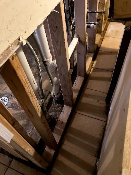 Rose Restoration Services Picture 9