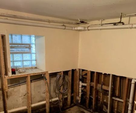 Rose Restoration Services