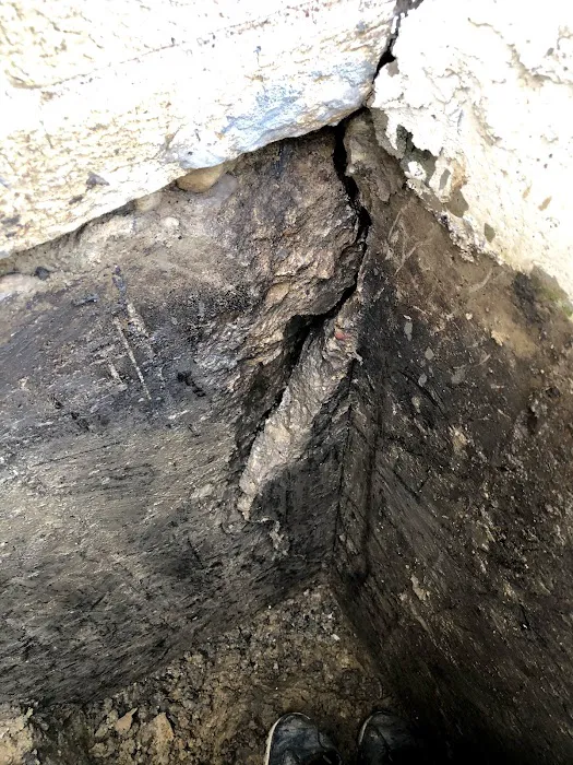 Rose Restoration Services Picture 5