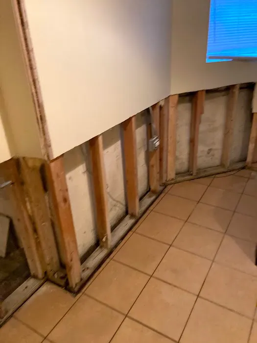 Rose Restoration Services Picture 3