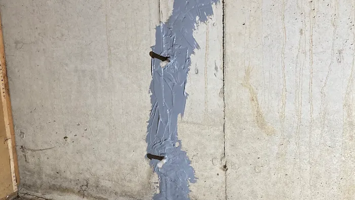 Rose Restoration Services Picture 7