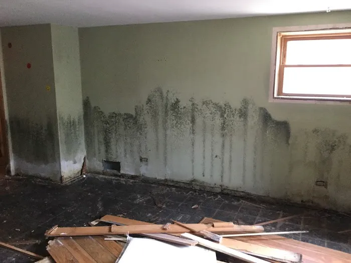 SERVPRO of Mount Prospect/North Des Plaines Picture 7