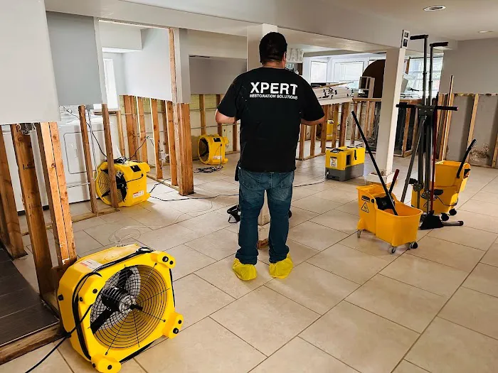 Xpert Restoration Solutions Picture 5